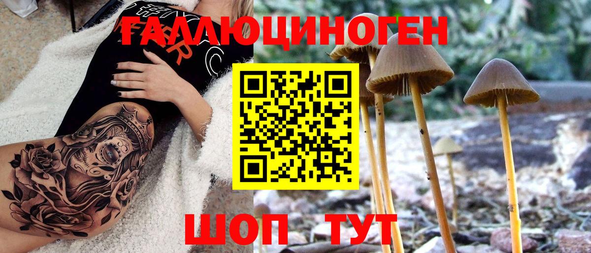 Псилоцибиновые грибы Magic Shrooms Чапаевск