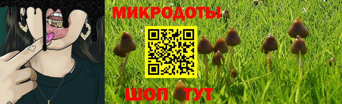 Чапаевск  Псилоцибиновые грибы Psilocybe  Вход с VPN 